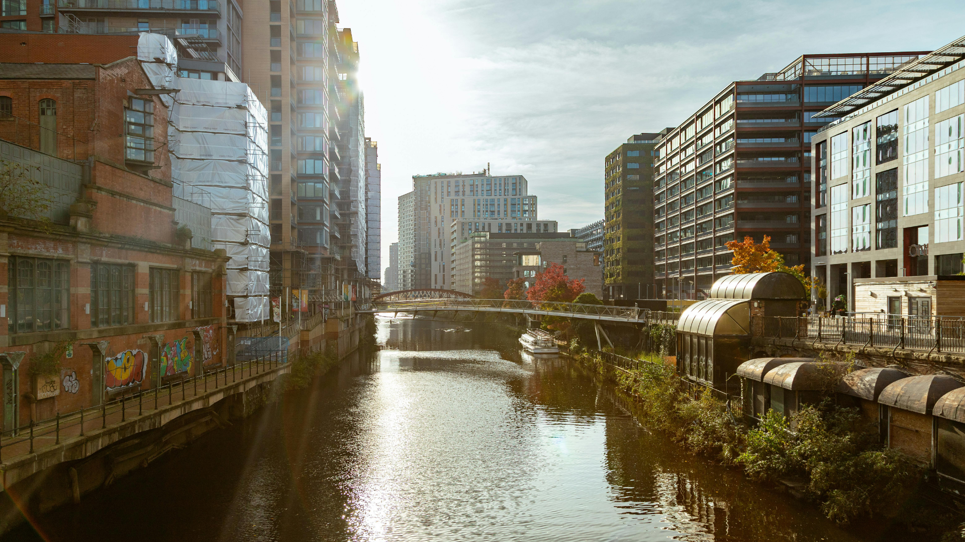 Irene Graham from ScaleUp Institute